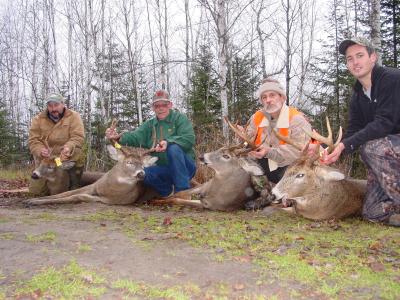 Ontario whitetail deer hunting