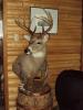 Ontario Deer Hunting Lodge
