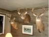 Ontario Deer Hunting Lodge