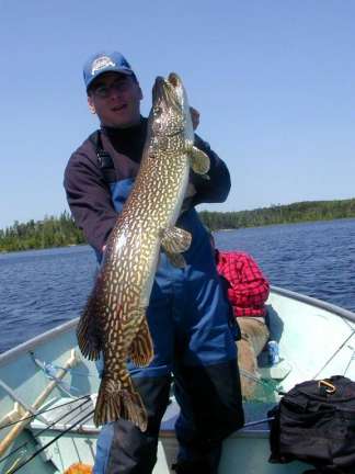 Brown Bear Lake Northern Pike