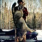 Ontario Canada Wolf Hunts