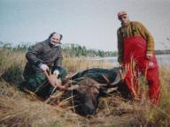 moose hunting in ontario canada (#1)